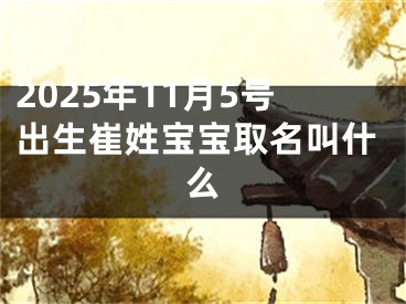 2025年11月5号出生崔姓宝宝取名叫什么