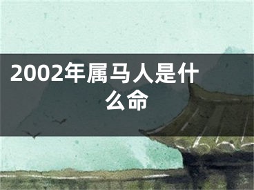 2002年属马人是什么命