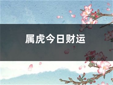 属虎今日财运