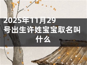 2025年11月29号出生许姓宝宝取名叫什么