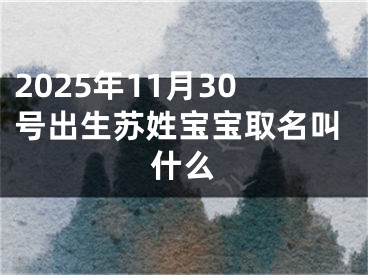 2025年11月30号出生苏姓宝宝取名叫什么