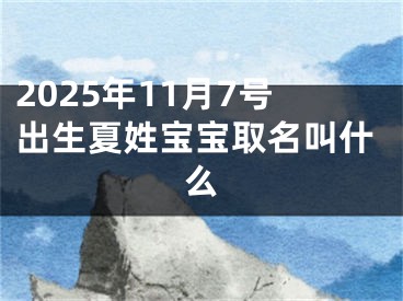 2025年11月7号出生夏姓宝宝取名叫什么