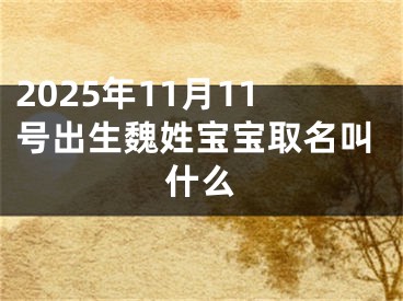 2025年11月11号出生魏姓宝宝取名叫什么