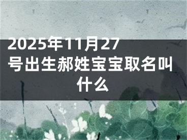 2025年11月27号出生郝姓宝宝取名叫什么