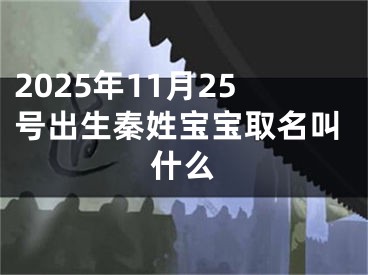 2025年11月25号出生秦姓宝宝取名叫什么