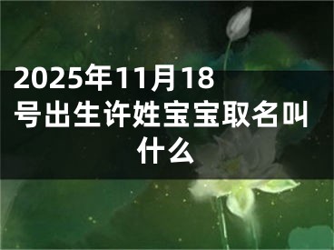 2025年11月18号出生许姓宝宝取名叫什么
