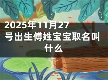 2025年11月27号出生傅姓宝宝取名叫什么