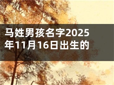 马姓男孩名字2025年11月16日出生的