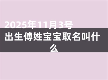 2025年11月3号出生傅姓宝宝取名叫什么