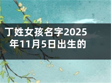 丁姓女孩名字2025年11月5日出生的