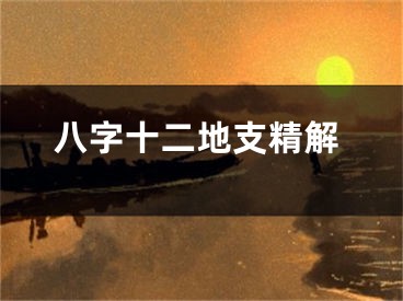八字十二地支精解