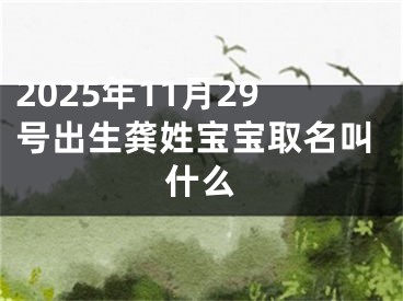 2025年11月29号出生龚姓宝宝取名叫什么