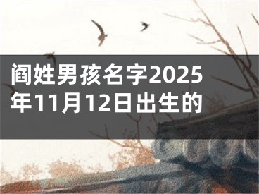 阎姓男孩名字2025年11月12日出生的
