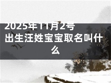 2025年11月2号出生汪姓宝宝取名叫什么