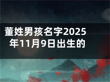 董姓男孩名字2025年11月9日出生的