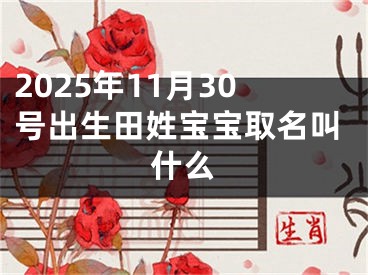 2025年11月30号出生田姓宝宝取名叫什么