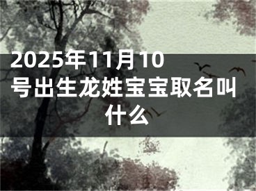2025年11月10号出生龙姓宝宝取名叫什么