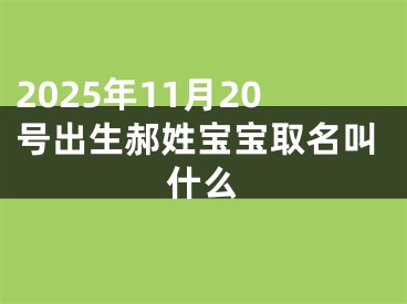 2025年11月20号出生郝姓宝宝取名叫什么