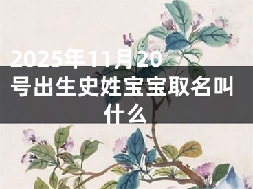 2025年11月20号出生史姓宝宝取名叫什么
