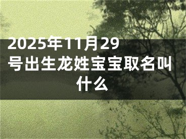 2025年11月29号出生龙姓宝宝取名叫什么