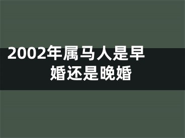 2002年属马人是早婚还是晚婚