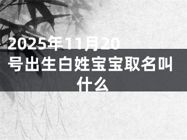 2025年11月20号出生白姓宝宝取名叫什么