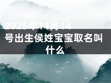 2025年11月14号出生侯姓宝宝取名叫什么