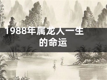 1988年属龙人一生的命运