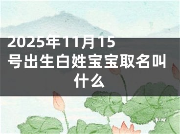 2025年11月15号出生白姓宝宝取名叫什么