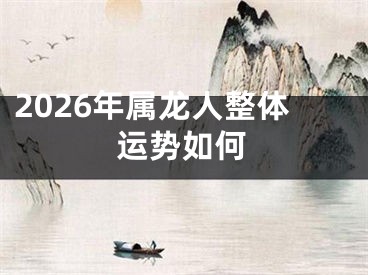 2026年属龙人整体运势如何
