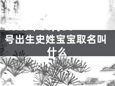 2025年11月30号出生史姓宝宝取名叫什么