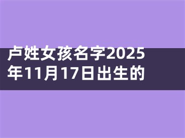 卢姓女孩名字2025年11月17日出生的
