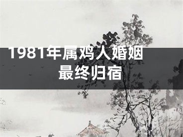 1981年属鸡人婚姻最终归宿