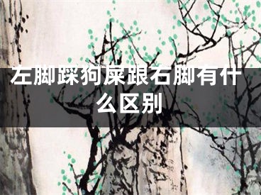 左脚踩狗屎跟右脚有什么区别