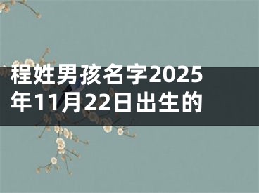 程姓男孩名字2025年11月22日出生的