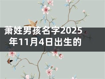 萧姓男孩名字2025年11月4日出生的