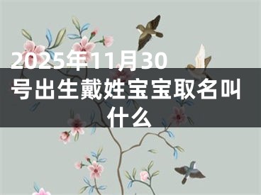 2025年11月30号出生戴姓宝宝取名叫什么