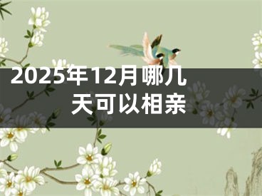 2025年12月哪几天可以相亲