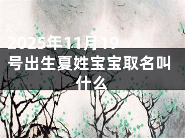 2025年11月19号出生夏姓宝宝取名叫什么