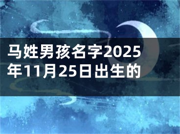 马姓男孩名字2025年11月25日出生的