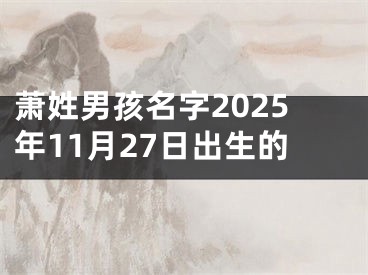萧姓男孩名字2025年11月27日出生的