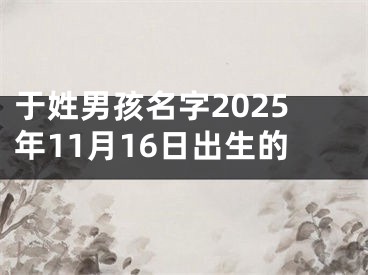 于姓男孩名字2025年11月16日出生的