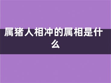 属猪人相冲的属相是什么