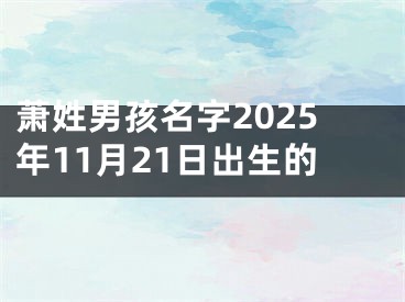 萧姓男孩名字2025年11月21日出生的