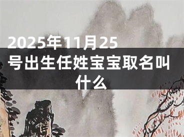 2025年11月25号出生任姓宝宝取名叫什么