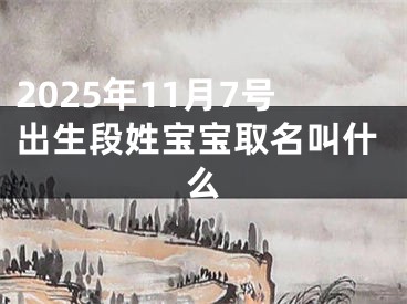 2025年11月7号出生段姓宝宝取名叫什么