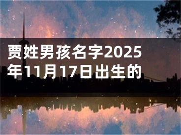 贾姓男孩名字2025年11月17日出生的