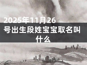 2025年11月26号出生段姓宝宝取名叫什么