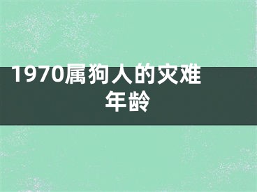 1970属狗人的灾难年龄