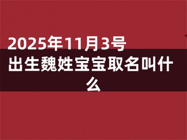 2025年11月3号出生魏姓宝宝取名叫什么